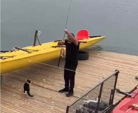 Com toda a astúcia felina, o gatinho esperto esperou o momento certo para dar o bote e fugir com o almoço do pescador. O vídeo já é sensação nas redes!
