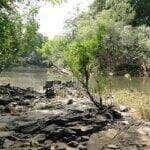 Porto Velho (RO), 10/02/2025 - Flona do Jatuarana. Foto: MMA/Divulgação