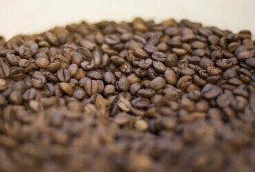 Pequenas torrefações preparam grãos especiais de café