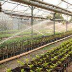 Nova Mutum (MT) investe em sistema automatizado para reforçar sustentabilidade ambiental