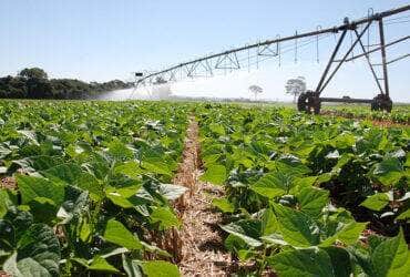 irrigacao agricultura -CenárioMT