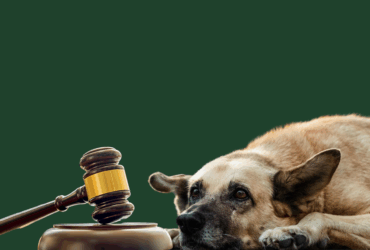 justica condenado -CenárioMT