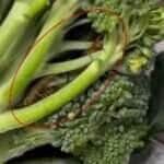 Lacraia no brócolis? Vídeo inusitado vira assunto nas redes e deixa internautas arrepiados