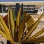 Brasília (DF) 07/06/2023 - Indígenas de varias etnias chegam na parte externa do Supremo Tribunal Federal (STF), para assistirem o julgamento do marco temporal de terras indígenas. O caso põe em lados opostos ruralistas e povos originários, e está parado na Corte desde 2021.O tema tem relevância porque será com este processo que os ministros vão definir se a tese do marco temporal tem validade ou não. O que for decidido valerá para todos os casos de demarcação de terras indígenas que estejam sendo discutidos na Justiça.
Foto: Joédson Alves/Agência Brasil