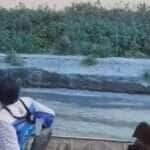 Onça-pintada surpreende turistas com disparada cinematográfica no Pantanal