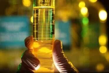 Petrobras reduz preços do diesel para distribuidoras; saiba o que entra no valor cobrado na bomba - Divulgação