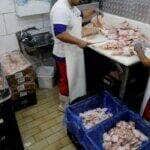 Gripe aviária. Chicken vendors work in a market in Sao Paulo, Brazil May 20, 2025. REUTERS/Jorge Silva