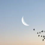 qual fase da Lua está hoje