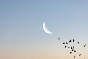 qual fase da Lua está hoje