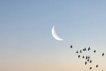 qual fase da Lua está hoje