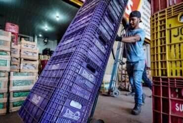 Brasília-DF, 10.11.2023, A Centrais de Abastecimento do Distrito Federal, a CEASA-DF, tem movimento intenso de pessoas que buscam as melhores frutas, legumes e verduras.  Foto: Rafa Neddermeyer/Agência Brasil