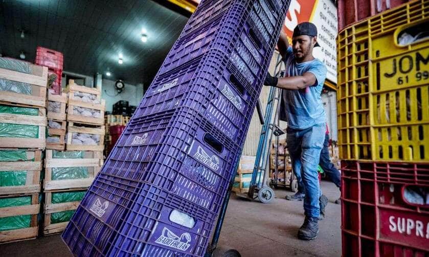 Brasília-DF, 10.11.2023, A Centrais de Abastecimento do Distrito Federal, a CEASA-DF, tem movimento intenso de pessoas que buscam as melhores frutas, legumes e verduras.  Foto: Rafa Neddermeyer/Agência Brasil