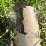 Cena inusitada da gigante das águas brasileiras deixou internautas boquiabertos; vídeo reforça a força e o mistério da natureza