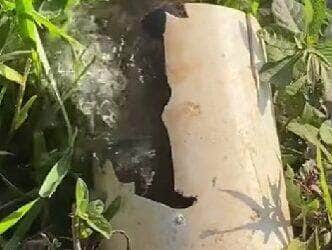 Cena inusitada da gigante das águas brasileiras deixou internautas boquiabertos; vídeo reforça a força e o mistério da natureza