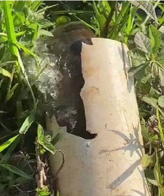 Cena inusitada da gigante das águas brasileiras deixou internautas boquiabertos; vídeo reforça a força e o mistério da natureza