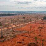 Desmatamento ilegal causa prejuízo milionário em Mato Grosso