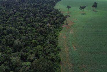 Brasnorte (MT), 09/04/2025 – Vista aérea do encontro da Floresta Amazônica com lavouras de milho e soja, na margem da Terra Indígena Erikpatsa, onde vive o Povo Rikbaktsa. Foto: Fernando Frazão/Agência Brasil