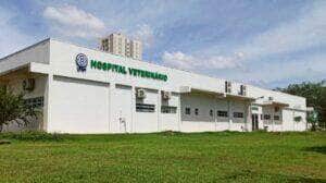 Hovet Sinop lidera ranking nacional em atendimentos