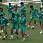 Duelo Épico no Mundial de Clubes: Palmeiras x Botafogo; onde assistir AO VIVO. Imagem: Cesar Greco/Ag. Palmeiras