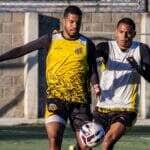 Novorizontino x Amazonas: duelo aurinegro agita a 14ª rodada da Série B 2025. Imagem: @basso.photo Novorizontino