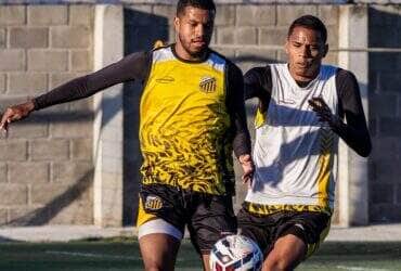 Novorizontino x Amazonas: duelo aurinegro agita a 14ª rodada da Série B 2025. Imagem: @basso.photo Novorizontino