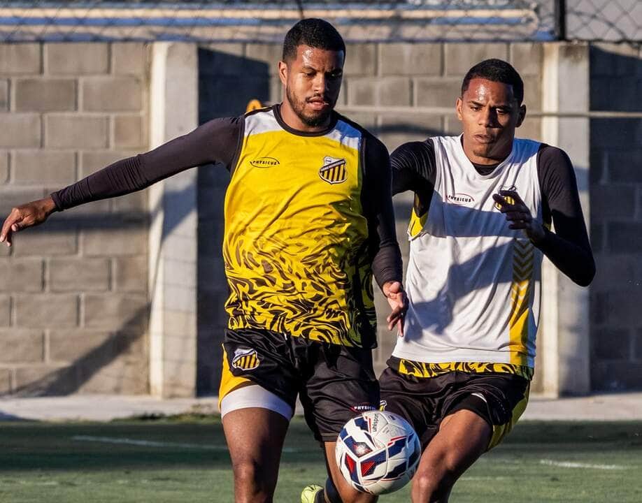 Novorizontino x Amazonas: duelo aurinegro agita a 14ª rodada da Série B 2025. Imagem: @basso.photo Novorizontino