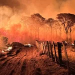 Polícia Federal inicia Operação Incêndios 2025 no Pantanal para combater crimes ambientais