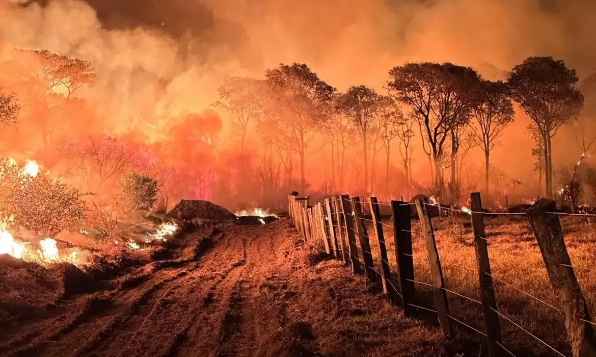 Polícia Federal inicia Operação Incêndios 2025 no Pantanal para combater crimes ambientais