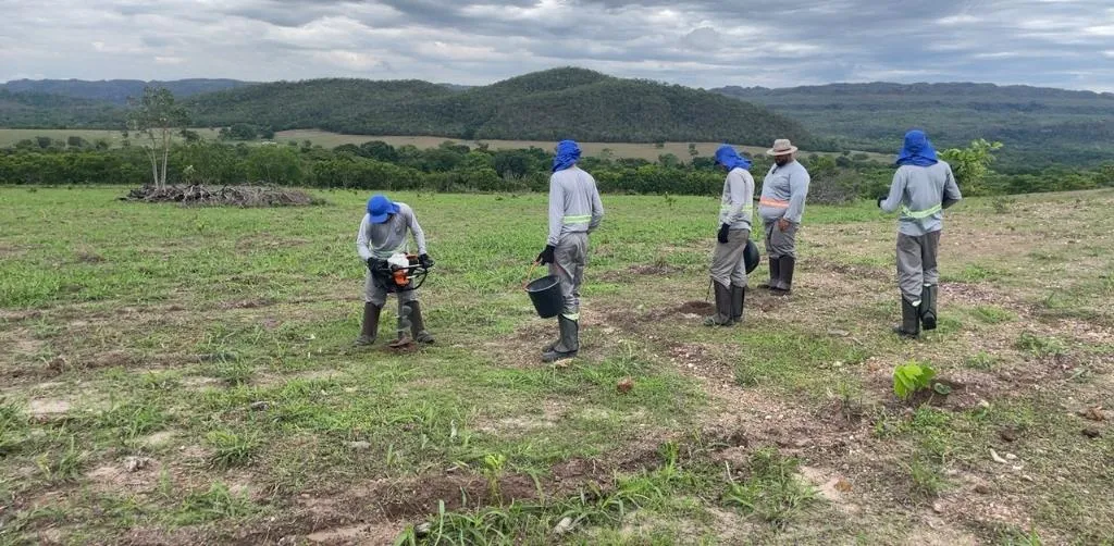 Investimentos internacionais impulsionam recuperação ambiental no programa Todos Pelo Araguaia