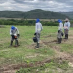 Investimentos internacionais vão ampliar áreas de recuperação ambiental em Mato Grosso