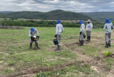 Investimentos internacionais vão ampliar áreas de recuperação ambiental em Mato Grosso