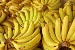Menor demanda pressiona cotações de banana no Vale do Ribeira