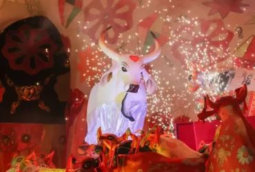 Boi vence festival de Parintins e quebra hegemonia rival