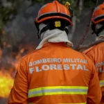 Cuiabá sedia congresso internacional sobre gestão de incêndios florestais