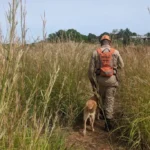 Cão de resgate auxilia bombeiros na localização de desaparecido