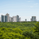 Mato Grosso se destaca como polo de migração interna, atrai pessoas e diversidade