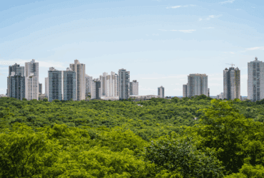 Mato Grosso se destaca como polo de migração interna, atrai pessoas e diversidade