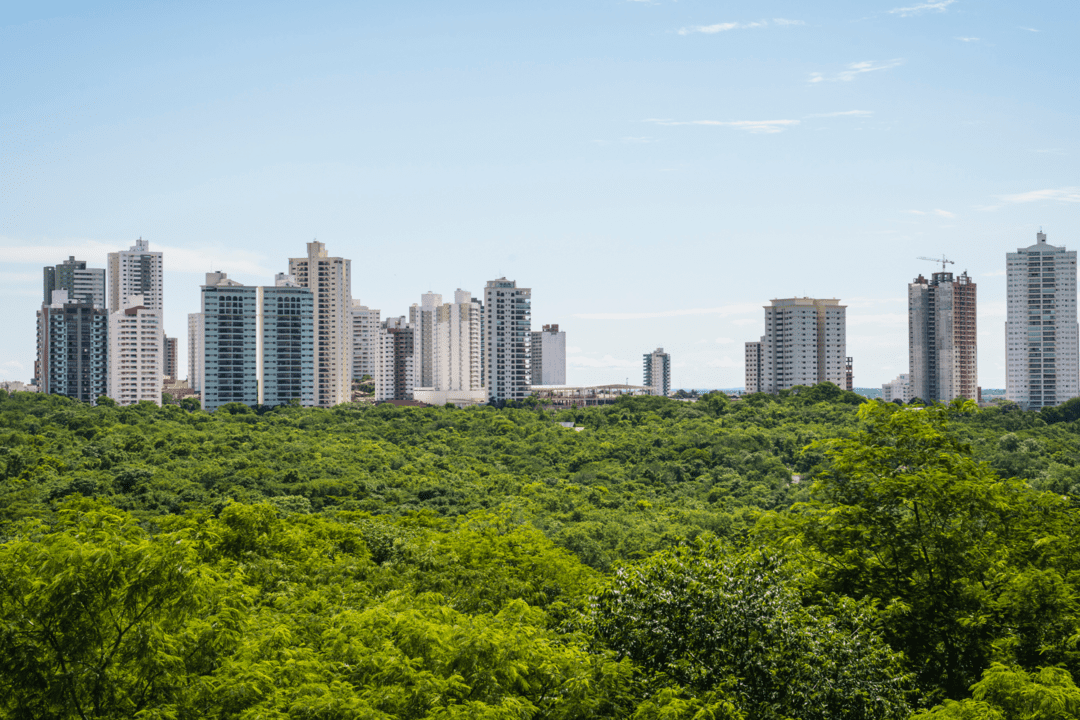 Mato Grosso se destaca como polo de migração interna, atrai pessoas e diversidade