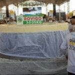 Com três toneladas, indústria de MT quebra recorde e produz o maior queijo fresco do Brasil