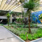 Veja o que abre e fecha no serviço público em Mato Grosso nesta quinta e sexta-feira