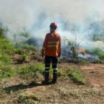 Queima prescrita no parque Serra de Ricardo Franco previne incêndios em Mato Grosso