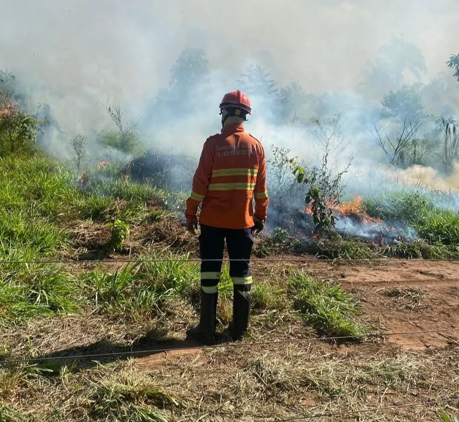 Queima prescrita no parque Serra de Ricardo Franco previne incêndios em Mato Grosso