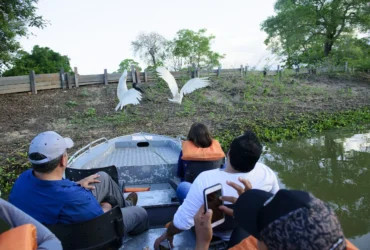 Ecoturismo transforma turistas em aliados da conservação em Mato Grosso