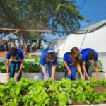 Horta escolar transforma aprendizado e incentiva alimentação saudável