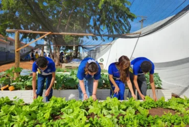 Horta escolar transforma aprendizado e incentiva alimentação saudável