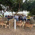 Feira em Fortaleza reúne produtores de MT em busca de novas tecnologias para o campo