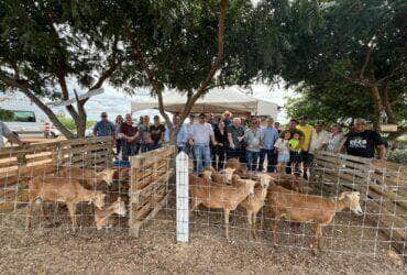 Feira em Fortaleza reúne produtores de MT em busca de novas tecnologias para o campo