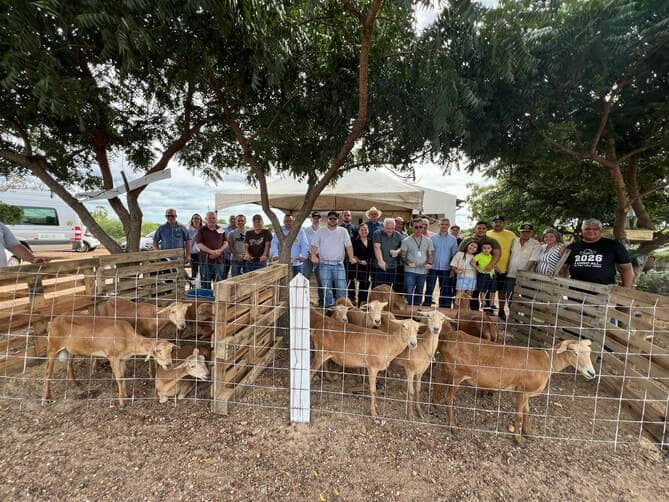 Feira em Fortaleza reúne produtores de MT em busca de novas tecnologias para o campo