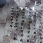 Força Tática fecha ponto de tráfico e prende seis por envolvimento com drogas