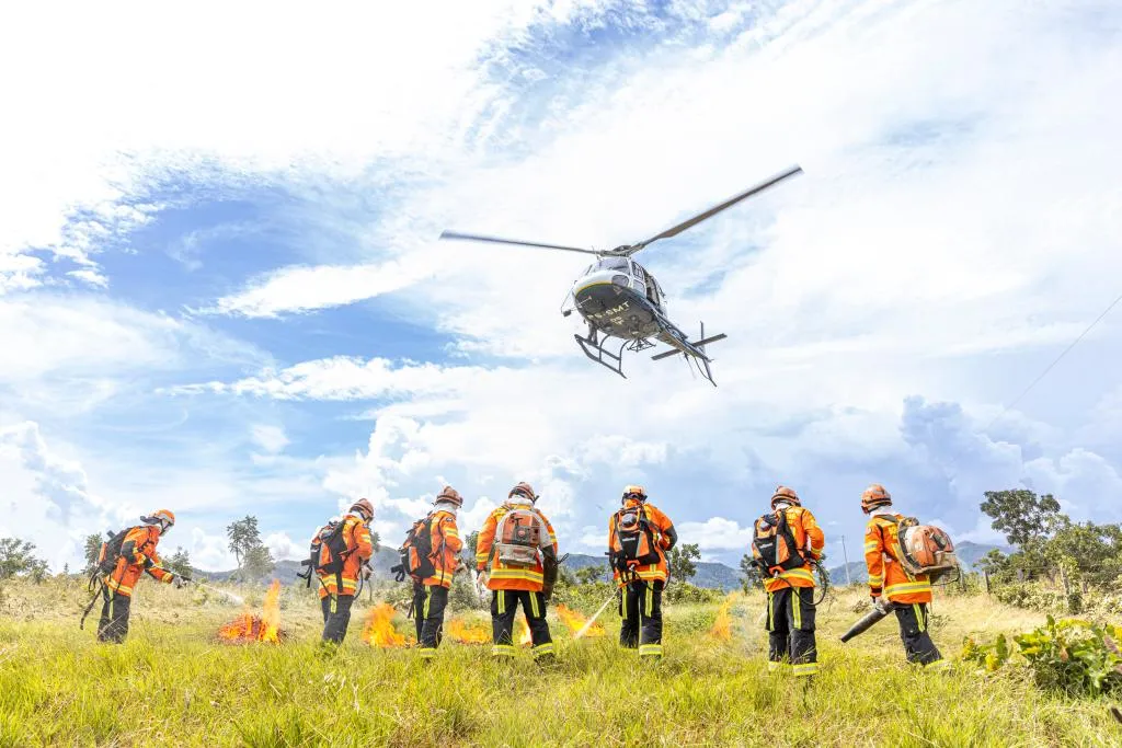 ForestFire reúne especialistas internacionais para debater incêndios florestais em Mato Grosso